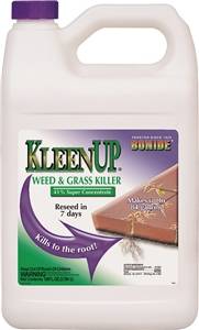 KLEEN UP WEED/GRASS KILLER GAL CONCENTRATE
